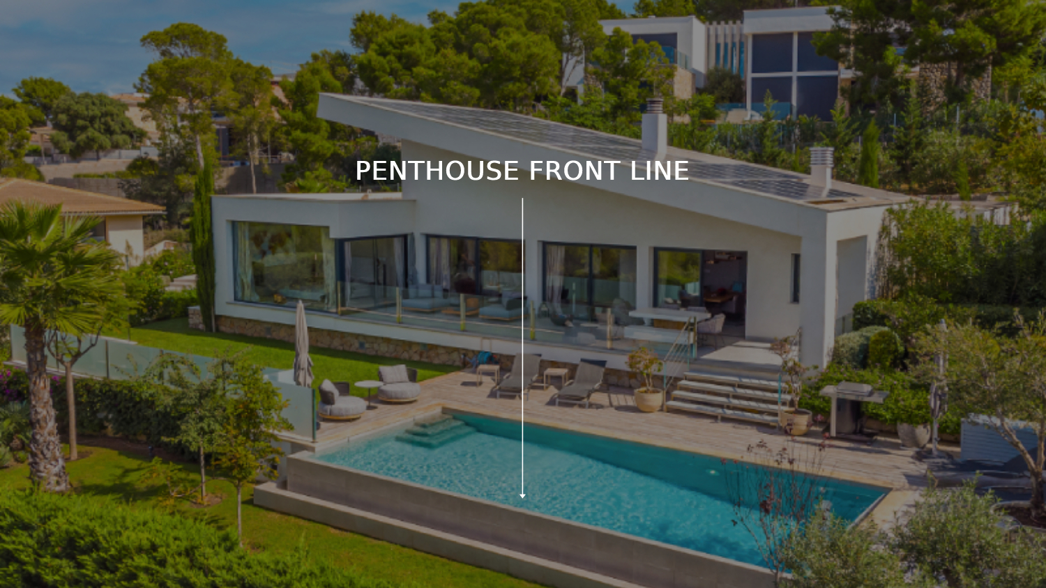 PENTHOUSE FRONT LINE